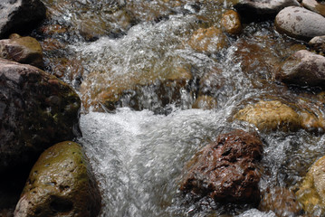 agua
