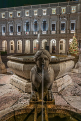 The Sphinx of the Contarini fountain in the foreground in front of the Colleoni library