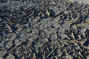 The parched soil