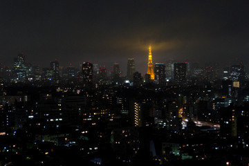 Cityscape of the metropolis of Tokyo Japan at night