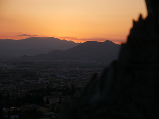 Silhouette of a tree trunk in front of a beautiful orange sunset