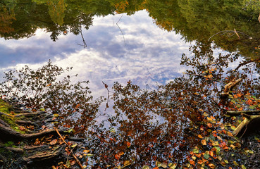 Clouds are reflected in the forest lake.