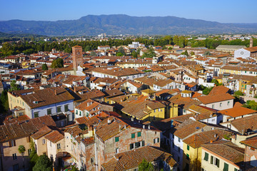 LUCCA,  Landscape view of Lucca, a historic city in Tuscany, Central Italy, seen from the top of the landmark Torre Guinigi tower