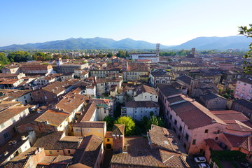 LUCCA,  Landscape view of Lucca, a historic city in Tuscany, Central Italy, seen from the top of the landmark Torre Guinigi tower