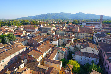 Fototapeta na wymiar LUCCA, Landscape view of Lucca, a historic city in Tuscany, Central Italy, seen from the top of the landmark Torre Guinigi tower
