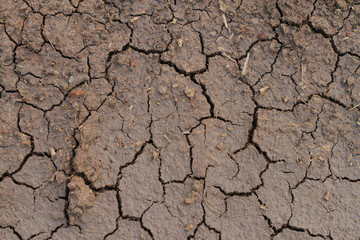 Dry soil, broken soil Cracked Ground Texture Background