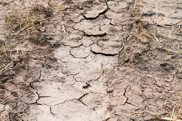 dry soil, broken soil Cracked Ground Texture Background