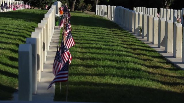 DGS 2016_05_31 Profile Headstones
