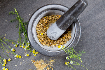 Chamomile Tea making - with fresh and dried chamomile flowers together with mortar and pestle