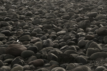 Fototapeta na wymiar Big smooth black beach stones background