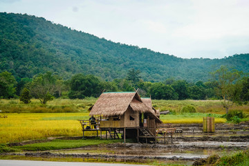 Fototapeta na wymiar Mountain hut The winter in Chiang Mai, Thailand.