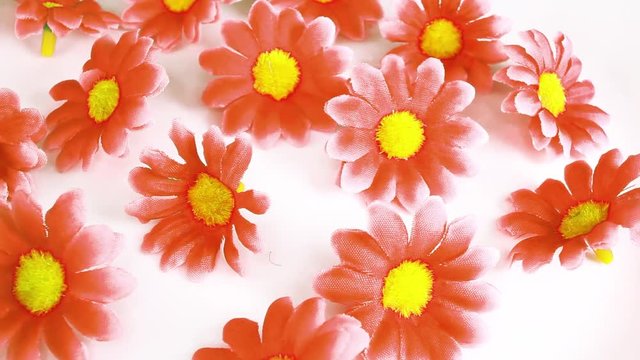 Artificial flower heads looping texture pattern closeup video