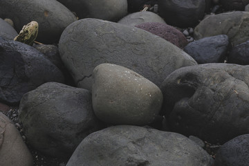 Big smooth black beach stones background