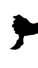 Karambit knife in the hand