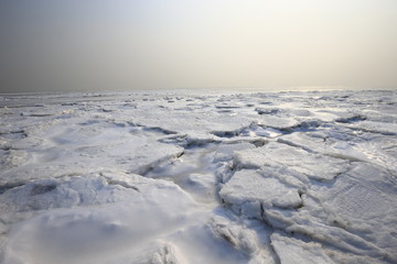 The winter sea ice