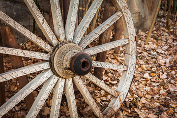 Wagon Wheel