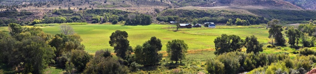 Obraz premium Late Summer early Fall panorama forest views hiking, biking, horseback trails through trees along Highway 40 near Daniels Summit between Heber and Duchesne in the Uintah Basin, Utah, USA. 