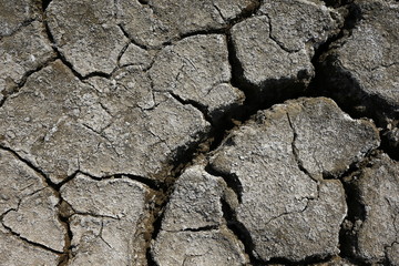 Climate warming dry chapped land