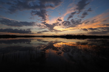 Colorful sunrise reflected in the perfectly calm water of Nine Mile Pond in Everglades National Park, Florida.
