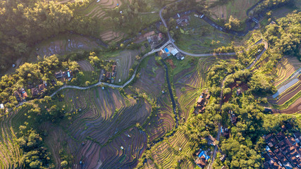Aerial view on the Jatiluwih Rice Terrace, Bali, Indonesia