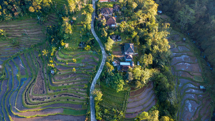 Aerial view on the Jatiluwih Rice Terrace, Bali, Indonesia
