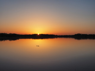 Alligator at sunrise on a perfectly calm Nine Mile Pond in Everglades National Park, Florida.