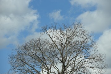 Partly cloudy in Farmingdale, NY