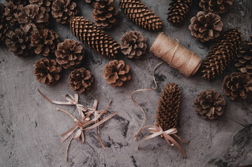 Pinecones on stone background.
