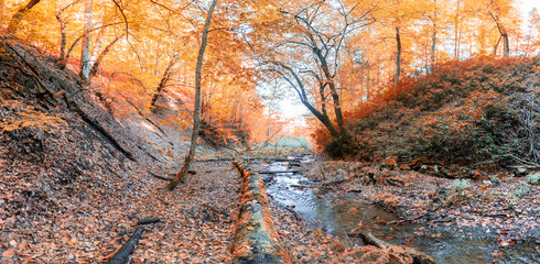Autumn concept for background in Yedigoller park