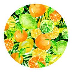 Watercolor round element, background, illustration. Green leaves of a tree, palms, abstract fruit, citrus, orange, lime, lemon, abstract splash. 
green paint. On a white isolated background. 