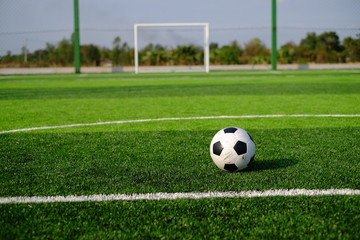 Soccer football on green grass field and goal post