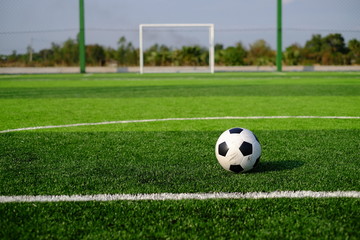 Soccer football on green grass field and goal post