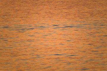 朝焼けの映える海