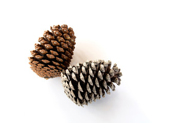 Pine cones isolated on white background.