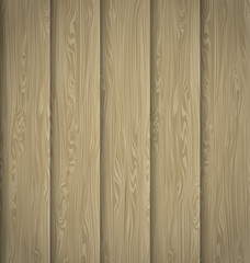 Fototapeta premium Vector wooden texture5