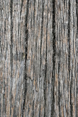 Fototapeta premium wood texture