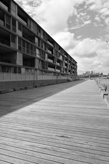 monotone structure