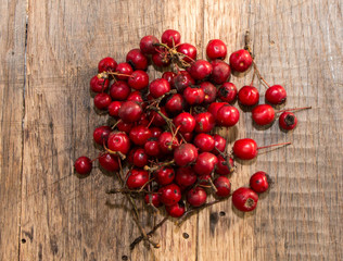 Hawthorn fruits on wooden background
