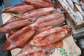 Jalgachi Market Squid