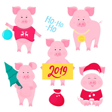 New Year's set of cute pigs. Santa Claus costume. Piggy with a Christmas ball, with a gold medal, in a sweater with deer