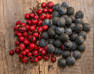Blackthorn and hawthorn on wooden background