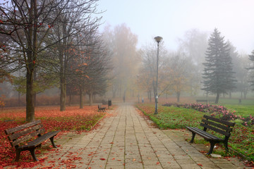 mglisty poranek w parku Kusocińskiego w Olsztynie