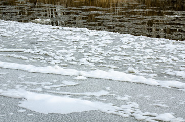 631-25 Ice & Snow Patterns with Forest Reflections