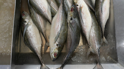 Raw seafood on ice at the fish market and department store. Raw fresh meat is sold. Healthy eating. displayed on ice, with copy space for your text..