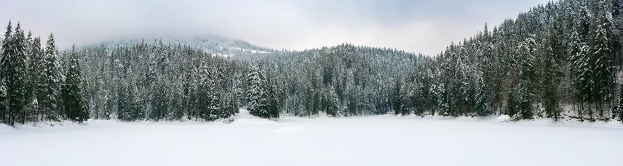 Selbstklebende Fototapeten Grau panorama of beautiful winter mountainous landscape  © Pellinni
