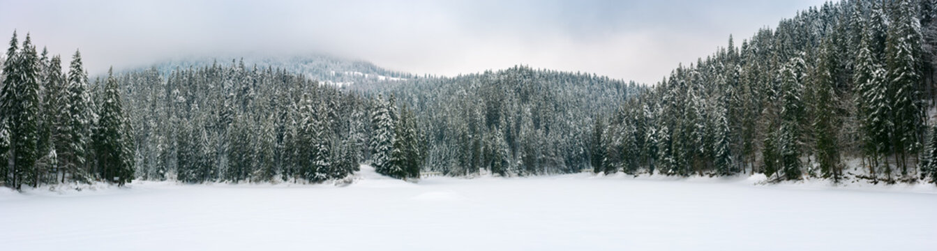 panorama of beautiful winter mountainous landscape