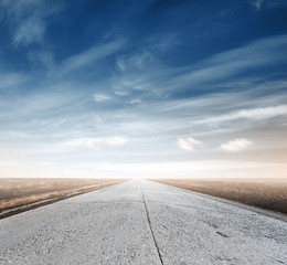 in a fields at sunset