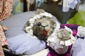 Portrait of wolf that dressed up as grandma in the childhood fairy tale to fool little red riding hood. Beautiful doll scenery of the Grimms brother fairytale.