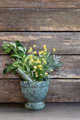Herbal medicine - fresh bunches of herbs in green marble mortar and pestle against rustic background