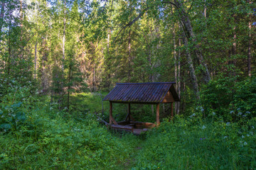 Holy spring in honor of the prophet John the Baptist, the Baptist of the Lord.